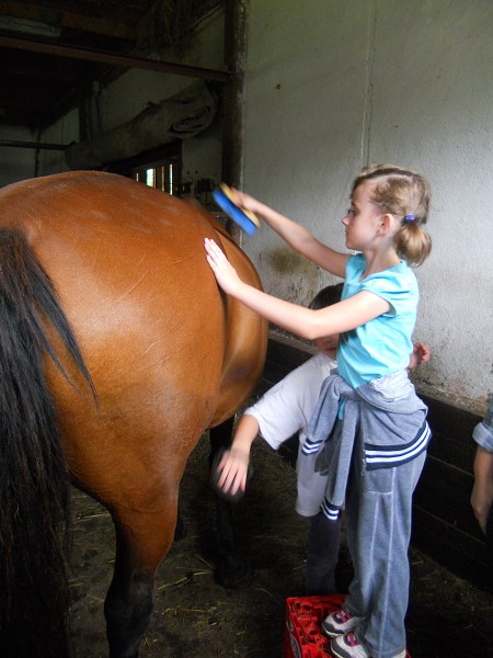 Prázdniny na farmě