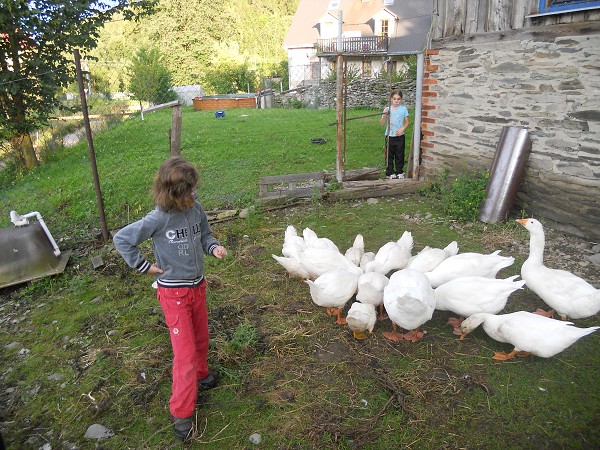 Prázdniny na farmě