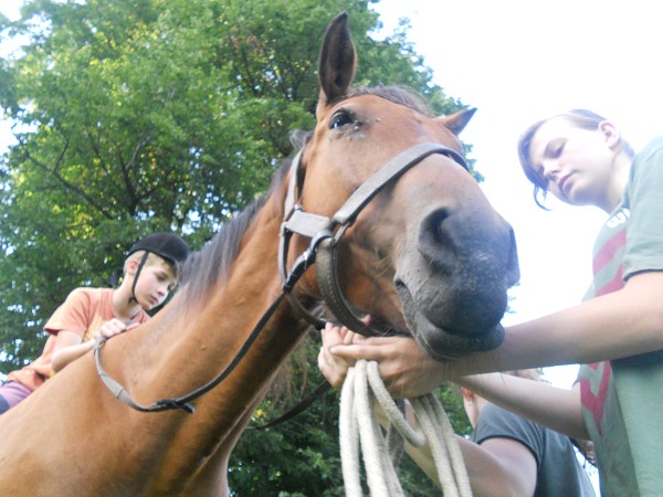 Prázdniny na farmě