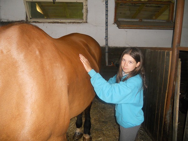 Prázdniny na farmě