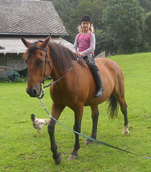 Prázdniny na farmě