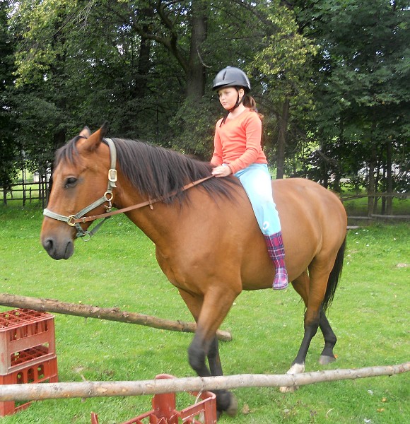 Prázdniny na farmě